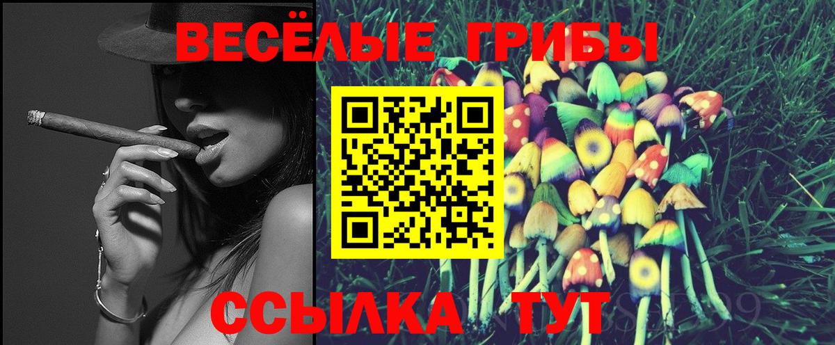 Галлюциногенные грибы мухоморы Рубцовск